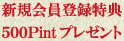 ���������Ͽ��ŵ500Point�ץ쥼���